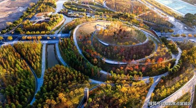 金茂府网站发布)2025年房价_户型配套ayx爱游戏app普陀金茂府售楼处(普陀(图11)