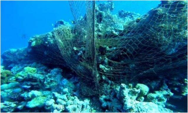 无人礁之39—仁爱礁：可成为美济岛的后花园ayx爱游戏体育网页版入口南沙至关重要的(图11)