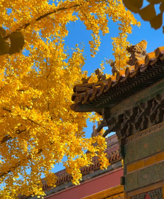 路线攻略本地旅行社一站式服务省心省力！爱游戏app网站手机版北京四日游经典(图3)