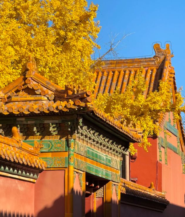 路线攻略本地旅行社一站式服务省心省力！爱游戏app网站手机版北京四日游经典(图4)